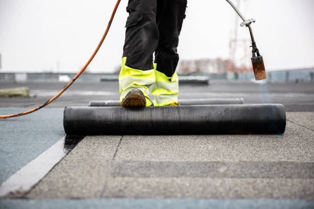 Best Skylight Installation and Repair  in Johnstown, PA